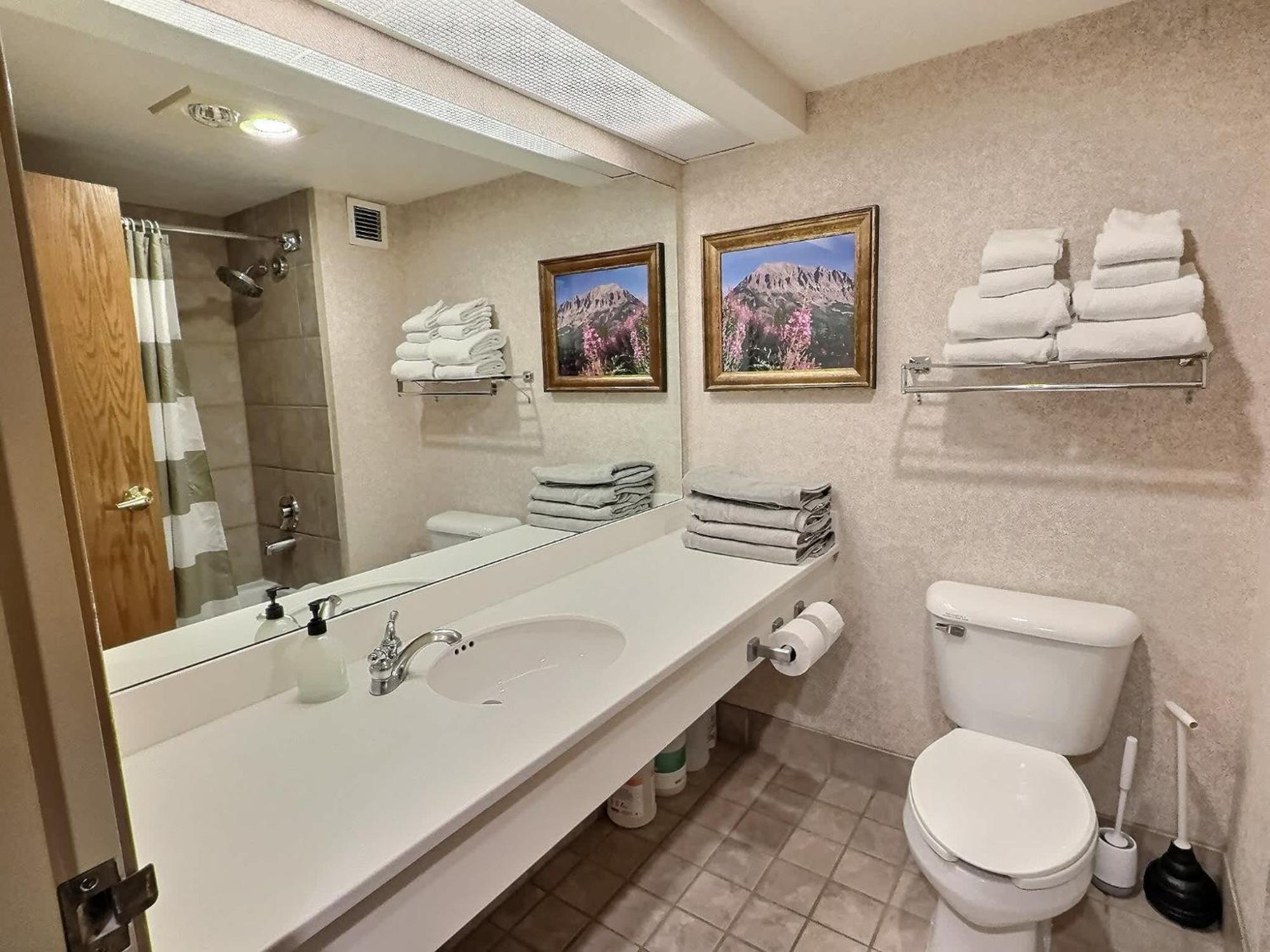 Willa 1Bd 274 Perfect Location With Pool And Hot Tub Crested Butte Zewnętrze zdjęcie